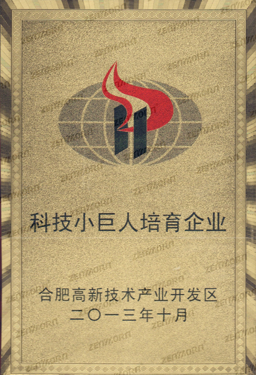 2013科技小巨人